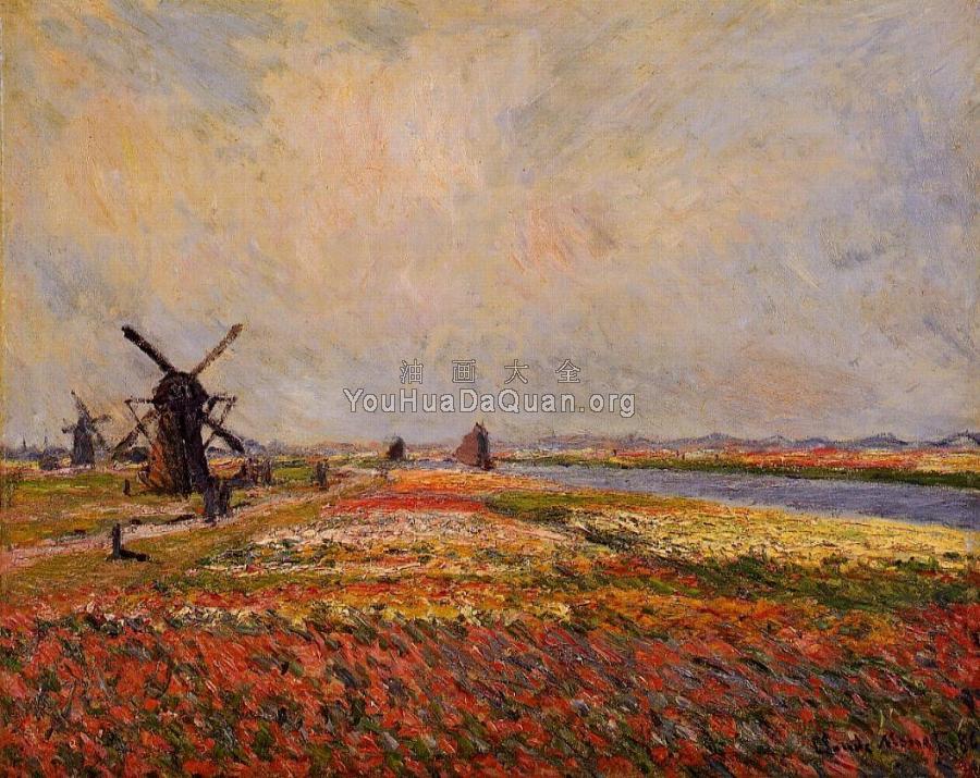 Fields of Flowers and Windmills near Leiden - 克劳德·莫奈